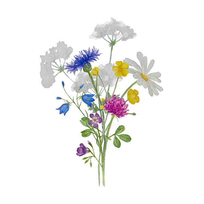 Kort - Sju sorters blommor