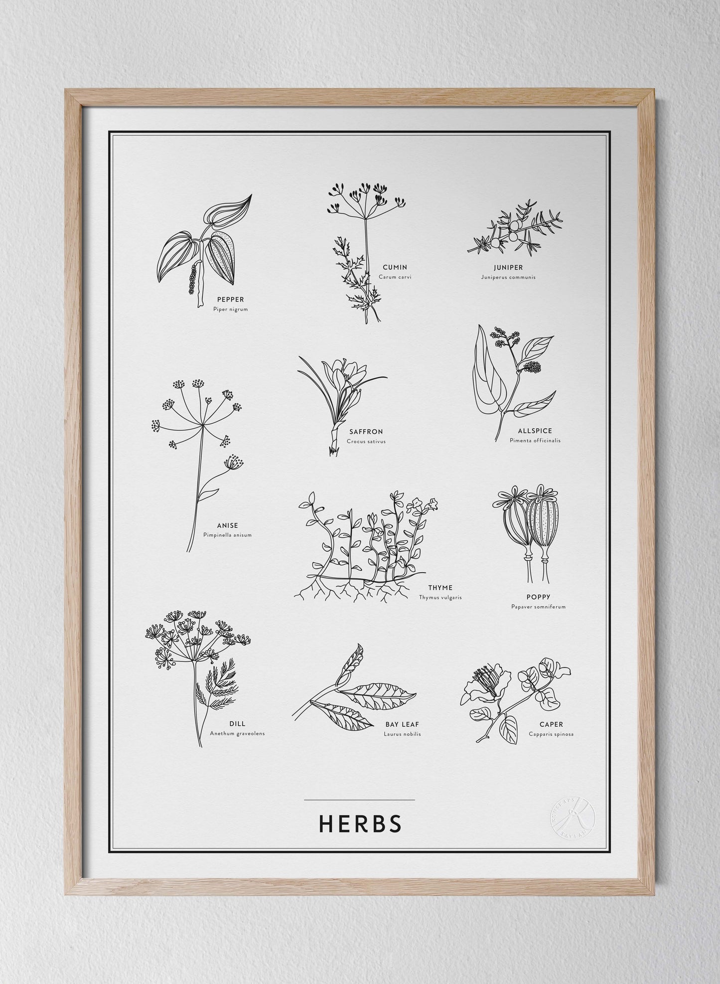 Herbs - på engelska