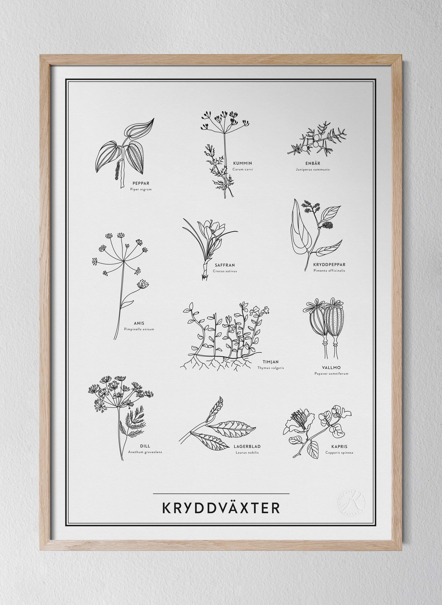 Kryddväxter