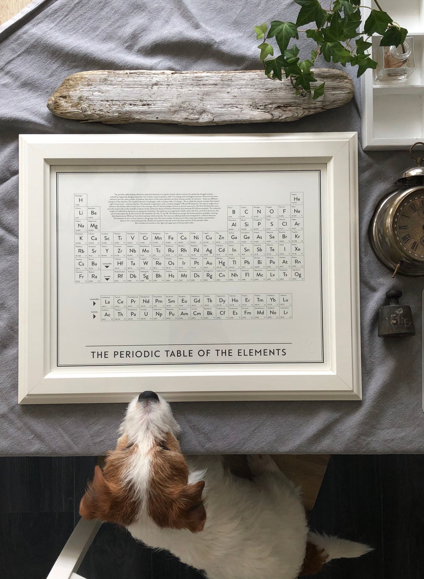 The periodic table of the elements