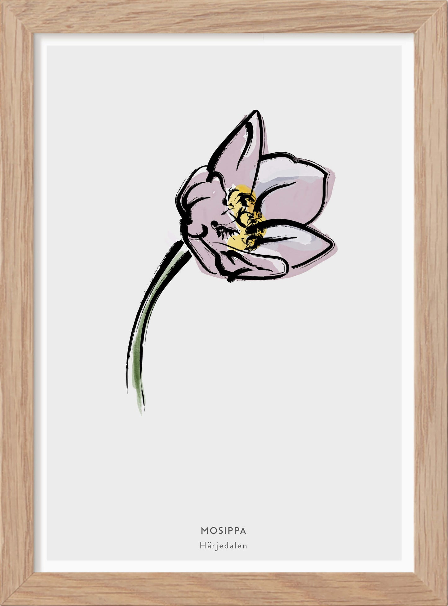 Härjedalens landskapsblomma - Mosippa - Mini print A5 - Kunskapstavlan