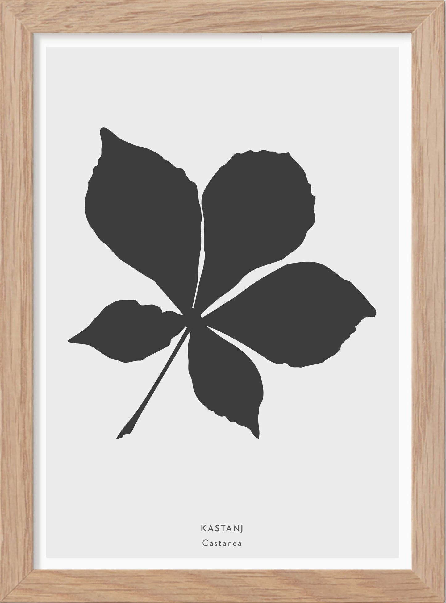 Kastanjelöv - Mini print A5 - Kunskapstavlan