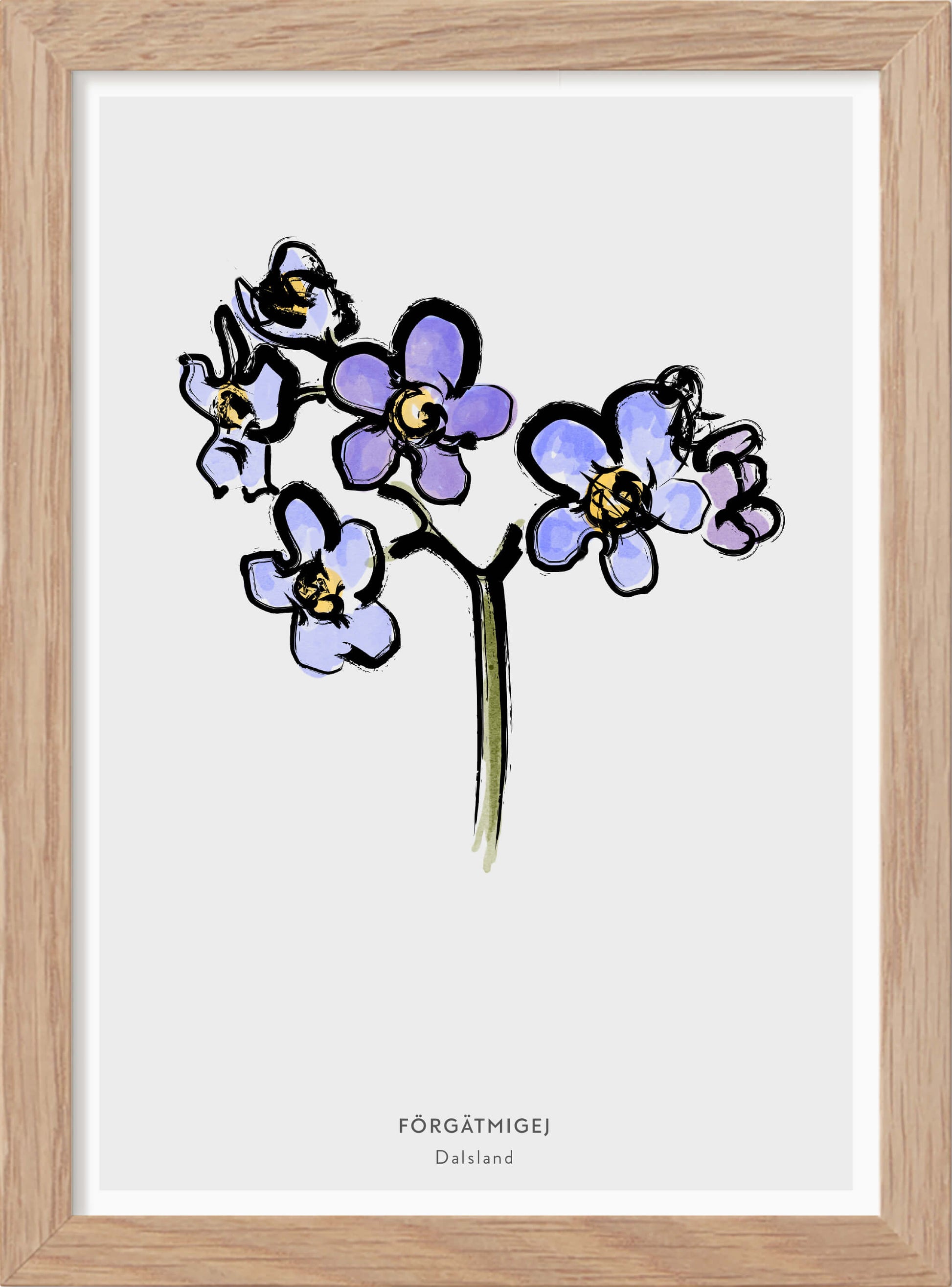 Dalslands landskapsblomma - Förgätmigej - Mini print A5 - Kunskapstavlan
