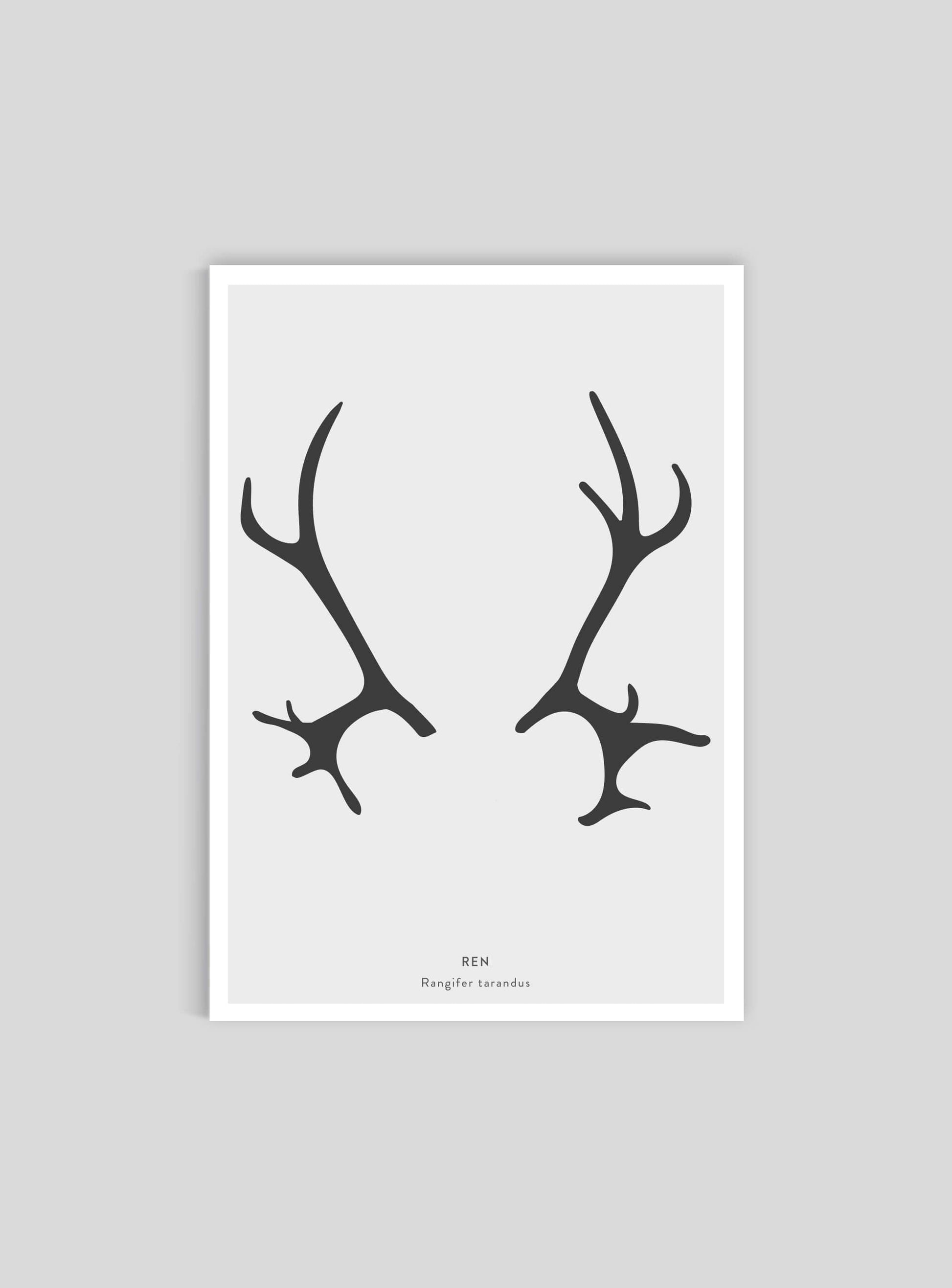 Renhorn - Mini print A5 - Kunskapstavlan