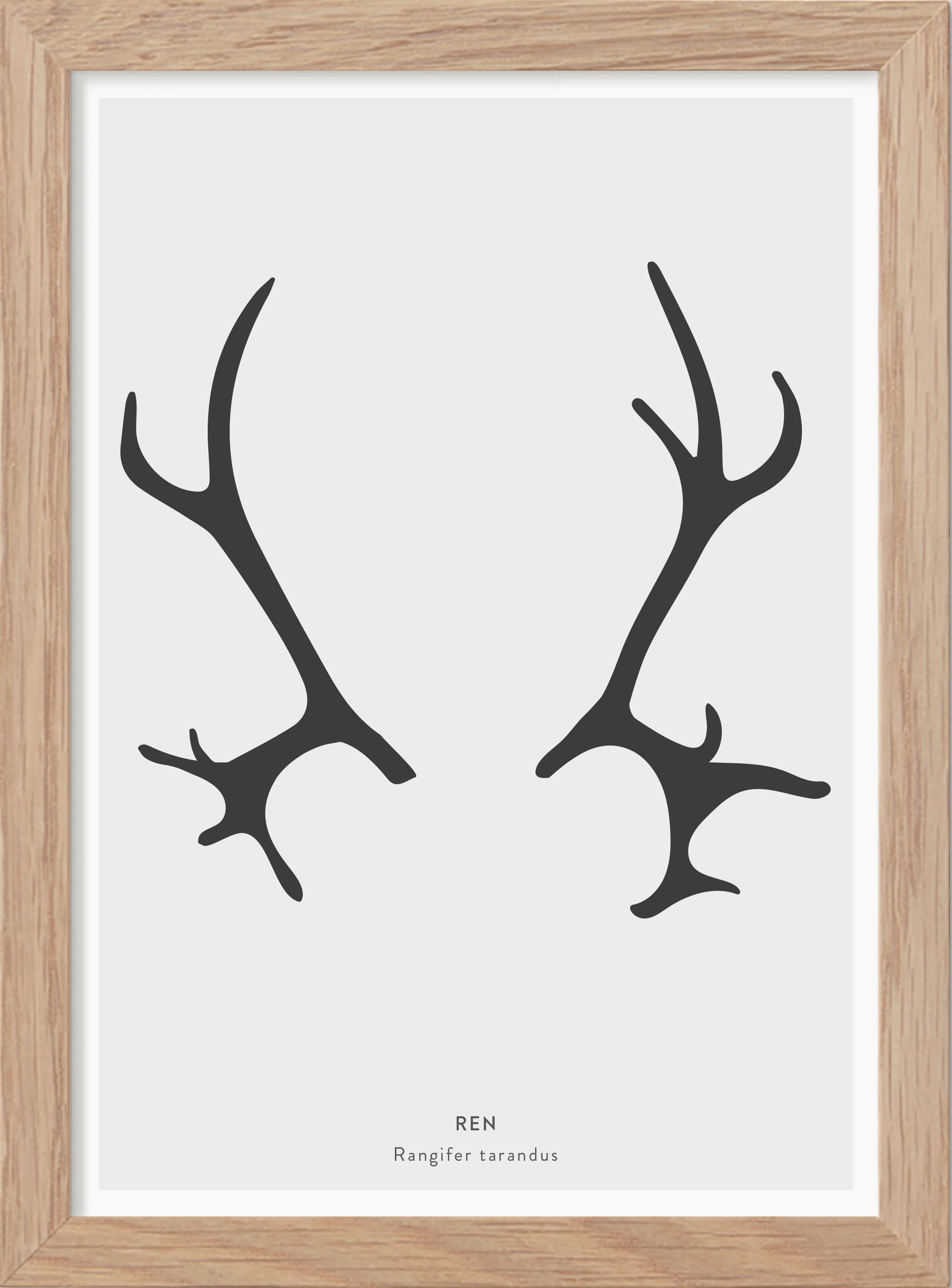 Renhorn - Mini print A5 - Kunskapstavlan
