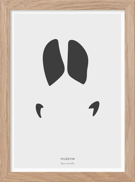 Vildsvinsspår - Mini print A5 - Kunskapstavlan